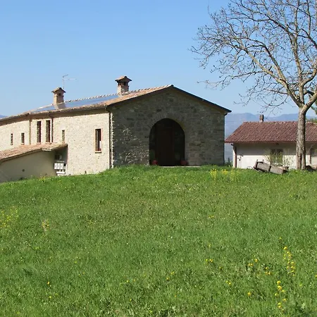 Il Gelso Room&breakfast Bed & Breakfast