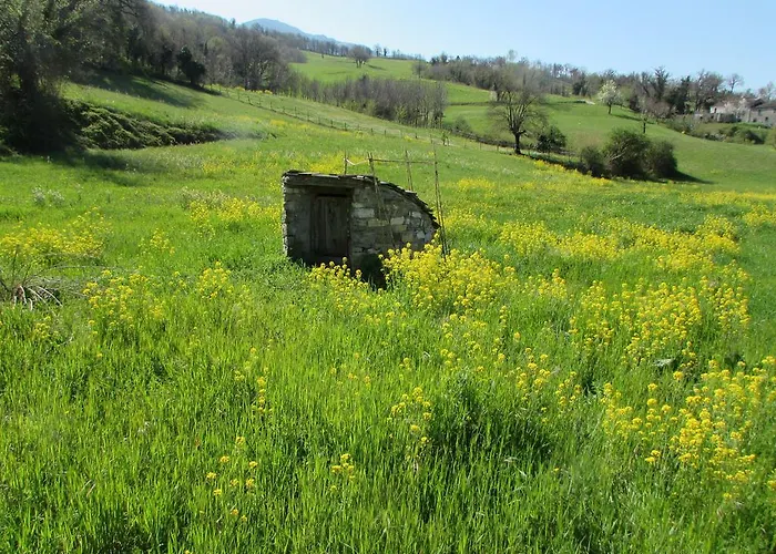 Il Gelso Room&breakfast